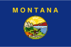 Montana 旗