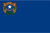 Nevada 旗