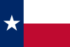 Texas 旗